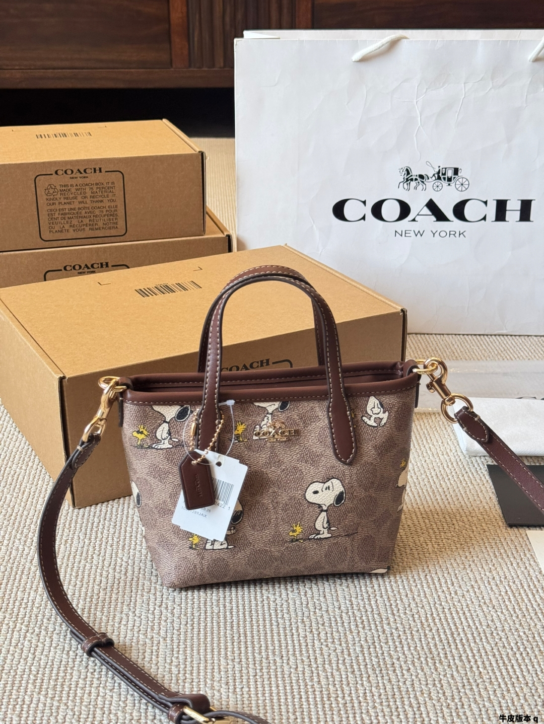 coach bag 263